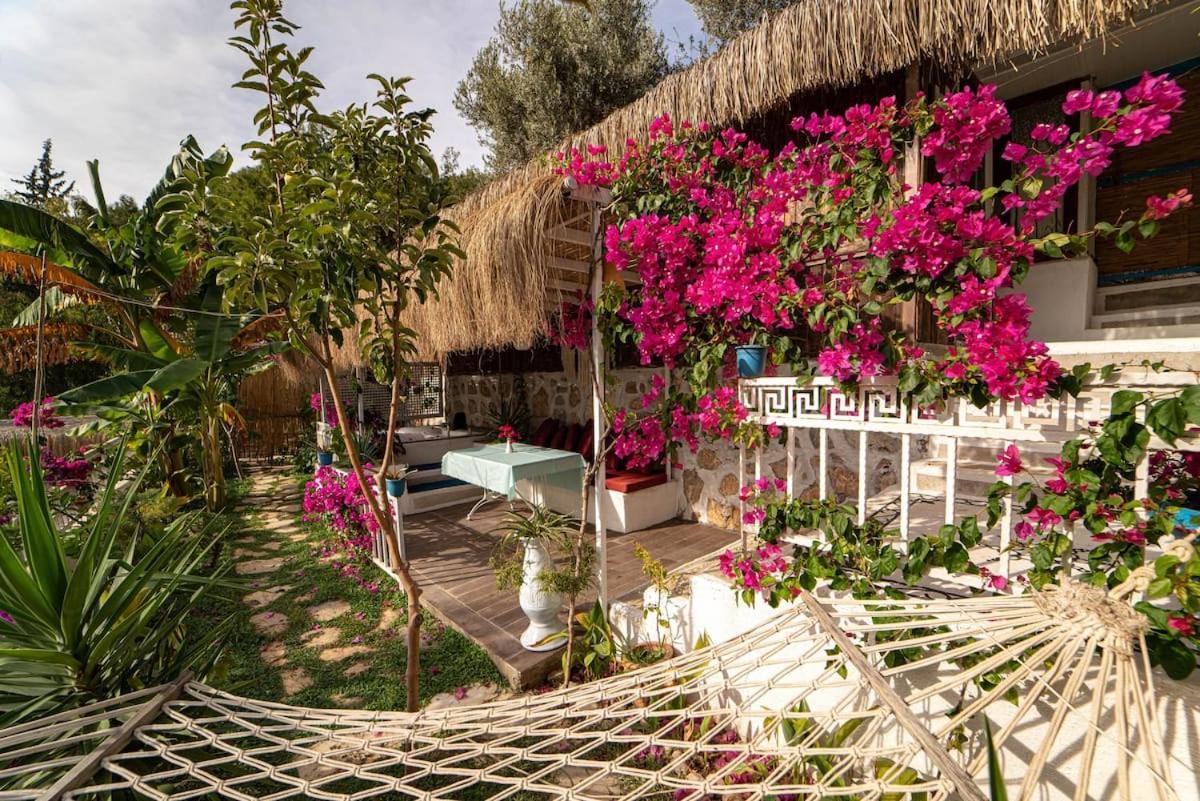 Begonvilla Bungalows Фетхие Экстерьер фото